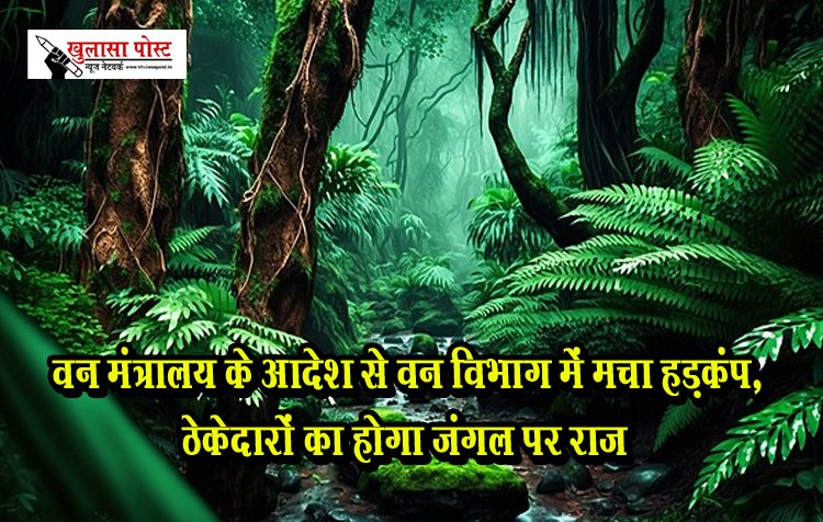  वन मंत्रालय के आदेश से वन विभाग में मचा हड़कंप, ठेकेदारों का होगा जंगल पर राज
