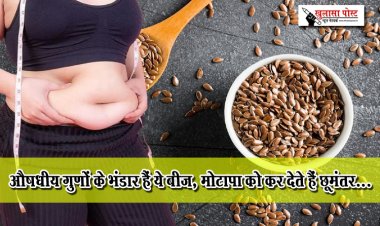 औषधीय गुणों के भंडार हैं ये बीज, मोटापा को कर देते हैं छूमंतर...