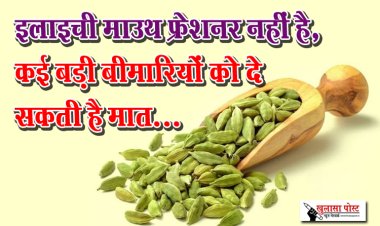 इलाइची माउथ फ्रेशनर नहीं है, कई बड़ी बीमारियों को दे सकती है मात...
