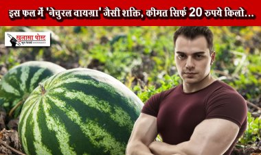 गर्मियों में मिलने वाले इस फल में 'नेचुरल वायग्रा' जैसी शक्ति, कीमत सिर्फ 20 रुपये किलो...