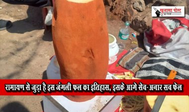 रामायण से जुड़ा है इस जंगली फल का इतिहास, इसके आगे सेब-अनार सब फेल