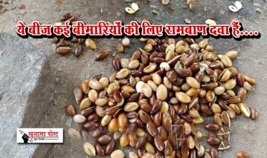 ये बीज कई बीमारियों की लिए रामबाण दवा हैं....