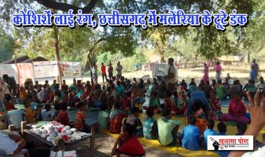 कोशिशें लाई रंग, छत्तीसगढ़ में मलेरिया के टूटे डंक