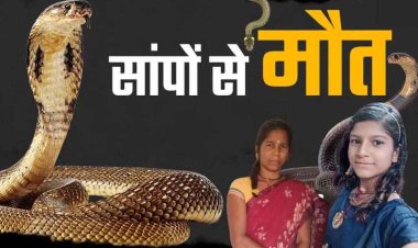 गरियाबंद में जहरीले सांप के डसने से चारपाई पर सो रही मां-बेटी की मौत, एक साथ दो अर्थी उठने से पूरे गांव में पसरा मातम