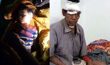 तेंदुए ने 3 साल की बच्ची और बुजुर्ग उसके बाद पालतू कुत्ते का किया शिकार, हाथी ने ग्रामीण को दौड़ाया 1 किलोमीटर, बची जान