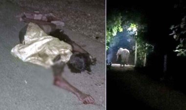 हाथी ने ग्रामीण को पटका, मौके पर मौत, लोगों में दहशत, वन विभाग के लिए चुनौती, इलाके में दहशत का माहौल, एलर्ट जारी