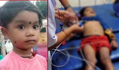 आंगन में खेल रहे ढाई साल के मासूम बच्चे की सांप के काटने से गई जान, इकलौते बेटे की मौत से परिवार में पसरा मातम
