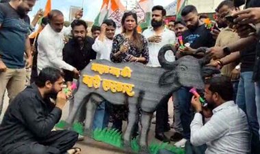 विधायक देवेंद्र यादव की गिरफ्तारी का युवा कांग्रेस ने किया अनोखा प्रदर्शन, जिले और विधानसभावार की सह-प्रभारियों की नियुक्ति