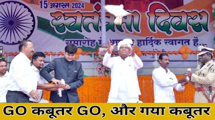 कबूतर तो बच गया, लेकिन एसपी साहब की कुर्सी उड़ गई, जानिये सिर्फ एक एसपी के ट्रांसफर के पीछे की कहानी, कहीं वजह यही तो नहीं?