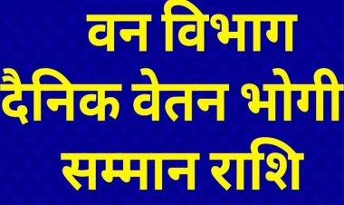 वन विभाग के 6100 दैनिक वेतन भोगी कर्मचारियों को हर महीने 4 हजार रुपए की दर से श्रम सम्मान राशि का किया जाएगा भुगतान