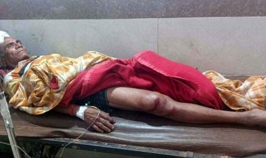 खेत गए किसान पर खूंखार भालू ने किया हमला, बुजुर्ग को बुरी तरह हुआ घायल हालत में जिला अस्पताल किया गया रेफर, वन विभाग ने किया एलर्ट जारी