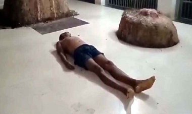 सांप की टोकरी में युवक ने डाले पैसे, काटने से हुई मौत, अंतिम संस्कार करने के बजाए मुर्दे को जिंदा करने मंदिर में शव रखकर की पूजा