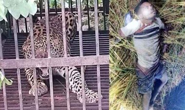 जंगली हाथी ने फिर एक युवक की ली जान, वन विभाग के पिंजरे में फंसा हफ्ते भर से मवेशियों का शिकार कर रहा खूंखार तेंदुआ, ग्रामीणों ने ली राहत की सांस