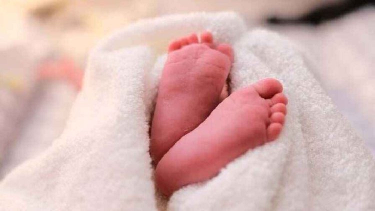 नवजात शिशु के मौत की जानकारी सुनते ही पिता हुआ आक्रामक, तोड़ डाला चिकित्सालय में लगा पार्टिशन, खतरे में नवजात बच्चों जिंदगी