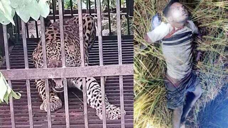 जंगली हाथी ने फिर एक युवक की ली जान, वन विभाग के पिंजरे में फंसा हफ्ते भर से मवेशियों का शिकार कर रहा खूंखार तेंदुआ, ग्रामीणों ने ली राहत की सांस