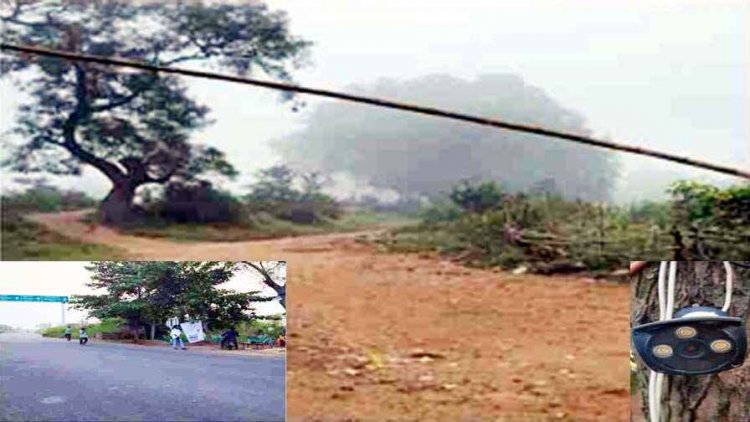 आदेश के 9 दिन बाद भी चेक पोस्ट से कर्मचारी नदारद, बांस बल्ली टांग बैरियर की खानापूर्ति, कैमरे की क्वालिटी भी खराब, ओडिशा के धान तस्करों को ग्रीन सिग्नल