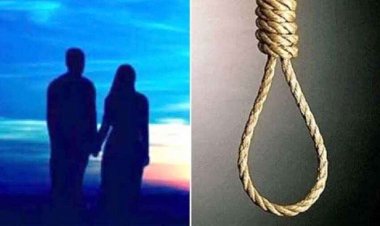 गांव से 3 किमी अंदर जंगल में फांसी पर लटकी मिली 3 नवंबर लापता प्रेमी जोड़े की लाश, इलाके में फैली सनसनी, एक ही फंदे पर लटका मिला शव