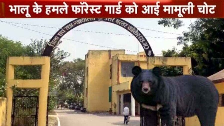 इंसाफ की गुहार लगाने न्यायालय पहुंचा भालू!, दो दिनों तक परिसर डाला डेरा, हमला कर एक सुरक्षाकर्मी को किया घायल, दहशत में गांव के लोग