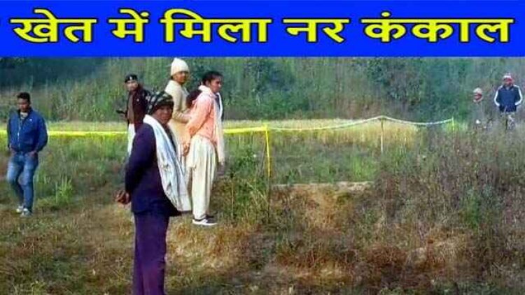बंद पड़े फ्लाई ऐश ब्रिक्स प्लांट के पास मिले 3 मानव कंकाल, खेत में बिखरी मिलीं हड्डियां, मचा हड़कंप, इलाका सील, जांच में जुटी फोरेंसिक टीम