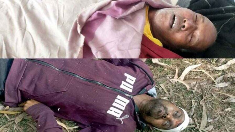 मधुमक्खियों के हमले से बुजुर्ग की मौत, नर्सरी के पास संदिग्ध हालत में मिली कंप्यूटर दुकान के संचालक की लाश, इलाके में फैली सनसनी