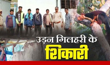 ट्रेंड शिकारी कुत्तों की मदद से चल रहा काला कारोबार, उड़ने वाली गिलहरी का शिकार करने वाले 5 आरोपी गिरफ्तार
