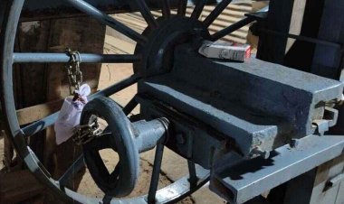 वन विभाग की बड़ी कार्रवाई, अभनपुर में 1 और नवापारा की 4 मिलो के खिलाफ लिया सख्त एक्शन, 5 आरा मिलों को किया सील