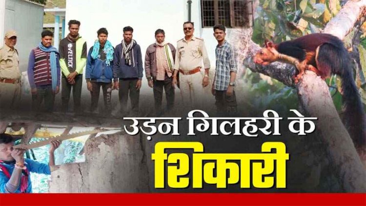 ट्रेंड शिकारी कुत्तों की मदद से चल रहा काला कारोबार, उड़ने वाली गिलहरी का शिकार करने वाले 5 आरोपी गिरफ्तार