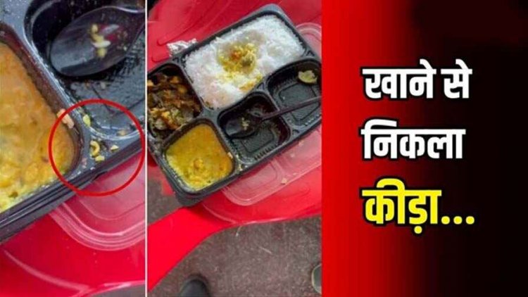 फॉरेस्ट गार्ड की भर्ती में परोसा गया घटिया खाना, ड्यूटी में तैनात जवान के खाने में निकला जिंदा कीड़ा, अफसरों पर चहेते ठेकेदार को टेंडर देने का आरोप