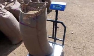 मंडी में किसानों का शोषण, जिला सहकारी बैंक में कैश नहीं होने से किसान परेशान, किया प्रदर्शन, धान खरीदी केन्द्र में प्रबंधक की तानाशाही!