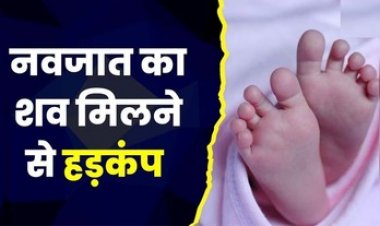 दो टुकड़ों में मिला नवजात बच्चे का शव, सिर वाला हिस्सा सड़क पर लिए घूम रहे थे कुत्ते, इलाके में फैली सनसनी, जांच में जुटी पुलिस