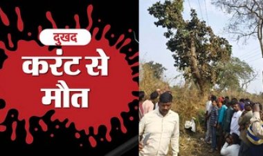 बिजली तार की चपेट में आने से 11 साल के बालक की दर्दनाक मौत, परिवार में पसरा मातम, गिलहरी पकड़ने के दौरान हुआ हादसा, जांच में जुटी पुलिस