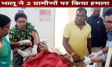 भालू के हमले से बाप-बेटे की मौत, दो की हालत नाजुक, वन विभाग की टीम और पत्रकार पर भी हमला, अस्पताल में भर्ती, इलाके में दहशत का माहौल