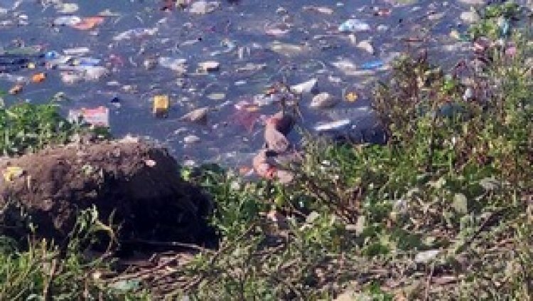 राजधानी की महादेव घाट खारुन नदी में पानी मे तैरते मिली महिला की लाश, इलाके में मचा हडकंप, हत्या या कुछ और? जांच में जुटी पुलिस