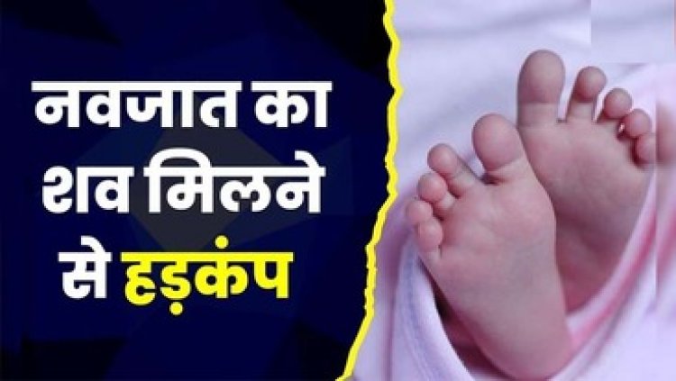 दो टुकड़ों में मिला नवजात बच्चे का शव, सिर वाला हिस्सा सड़क पर लिए घूम रहे थे कुत्ते, इलाके में फैली सनसनी, जांच में जुटी पुलिस