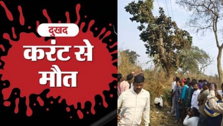 बिजली तार की चपेट में आने से 11 साल के बालक की दर्दनाक मौत, परिवार में पसरा मातम, गिलहरी पकड़ने के दौरान हुआ हादसा, जांच में जुटी पुलिस