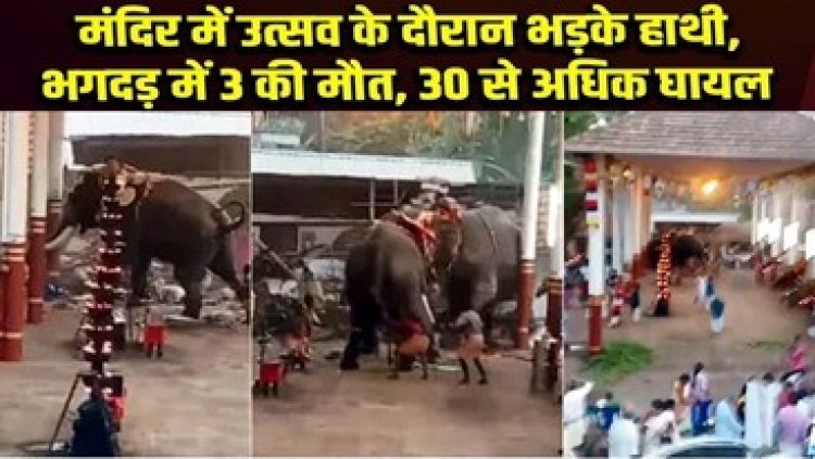 पटाखों की गूंज से बौखलाए हाथियों ने मचाया कोहराम, मंदिर उत्सव के दौरान बेकाबू हुए हाथी, भगदड़ में 3 लोगों की मौत, 30 से ज्यादा घायल