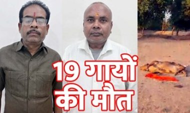 भूख-प्यास से 19 गायों की मौत, सड़कर बने कंकाल, नदी किनारे फेंका, बदबू फैलने पर पता चला, संस्था अध्यक्ष व संयोजक के खिलाफ मामला दर्ज