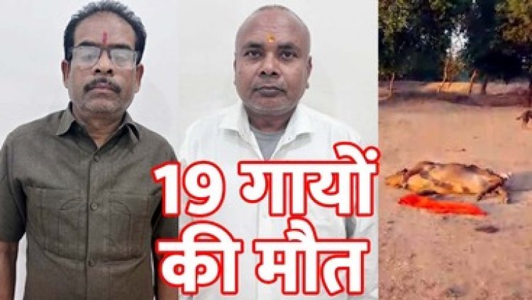 भूख-प्यास से 19 गायों की मौत, सड़कर बने कंकाल, नदी किनारे फेंका, बदबू फैलने पर पता चला, संस्था अध्यक्ष व संयोजक के खिलाफ मामला दर्ज