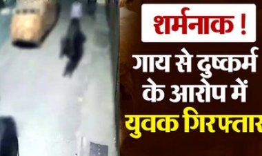 गाय के साथ कुकर्म करने वाले दो मामलों में द्वारका समेत 2 आरोपी गिरफ्तार, वीडियो वायरल होने के बाद गौ-रक्षक संगठनों ने मचाया बवाल