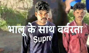 जंगलों में भालू के साथ बर्बरता, कोर्ट में जनहित याचिका दायर, 10 हजार के इनाम की घोषणा, वायरल वीडियो से मचा बवाल, 2 आरोपी गिरफ्तार