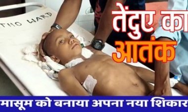 फिर तेंदुआ ने बरपाया कहर, घर के पास खेल रहे 6 वर्षीय मासूम पर तेंदुए ने किया जानलेवा हमला, हालत नाजुक, इलाके में दहशत का माहौल