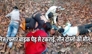 पेड़ से टकराई तेज रफ्तार बाइक, आर्केस्ट्रा देखकर लौट रहे तीन दोस्तों की दर्दनाक मौत, रात भर जंगल में पड़ी रही लाश