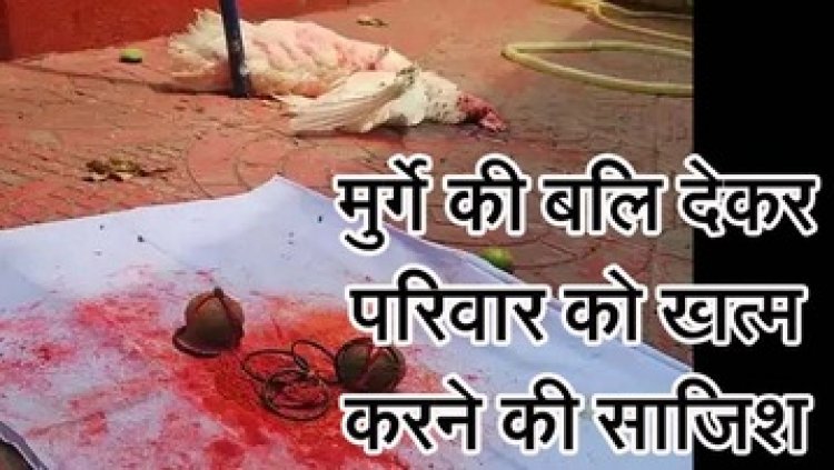मुर्गे की बलि देकर परिवार को खत्म करने की साजिश, लोगों में दहशत का माहौल, शिकायत पर पुलिस ने कर रही मामले की जांच