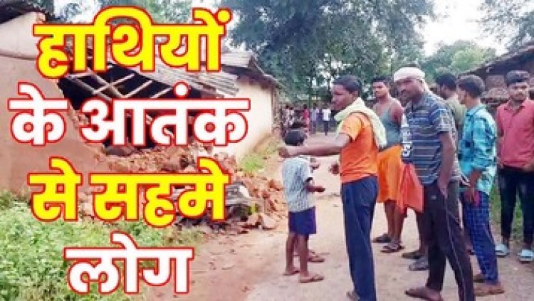 हाथियों ने मचाया उत्पात, 4 मकानों को तोड़ा, घर से भागकर गजराज से ग्रामीणों ने बचाई जान, गांव में दहशत का माहौल