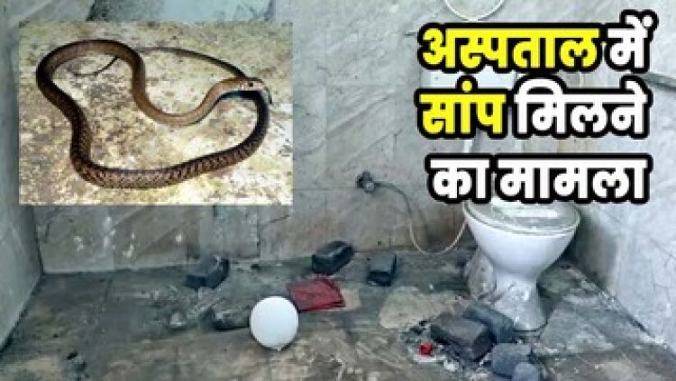 हॉस्पिटल के ऑपरेशन थिएटर से निकला सांप, डिलीवरी छोड़कर भागी नर्सेस, वॉश बेसिन, पाइप लाइन को बंद किया गया, स्वास्थ्य सेवाएं प्रभावित