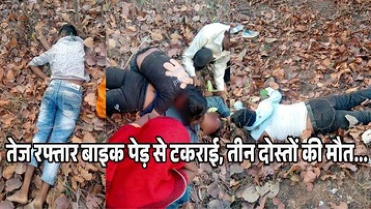 पेड़ से टकराई तेज रफ्तार बाइक, आर्केस्ट्रा देखकर लौट रहे तीन दोस्तों की दर्दनाक मौत, रात भर जंगल में पड़ी रही लाश