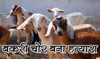 बकरियों की लालच में दरिंदों ने धारदार हथियार से ग्रामीण की ले ली जान, चार बकरियां चुराकर फरार, गांव में भय और आक्रोश का माहौल