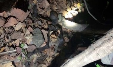 6 महीने से लापता ग्रामीण की मिली लाश, इलाके में फैली सनसनी, मौके पर पहुंची आला अधिकारियों की टीम, जांच में जुटी पुलिस