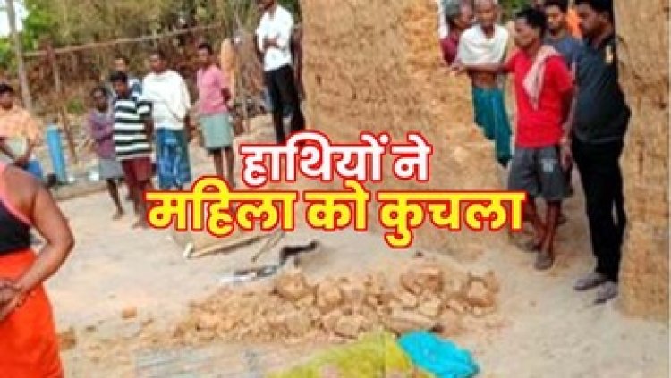 घर के बाहर सो रही महिलाओं को हाथी ने कुचला, सूंड से उठाकर पटका, 2 की दर्दनाक मौत, गांव में दहशत का माहौल, लोगों से सतर्क रहने की अपील