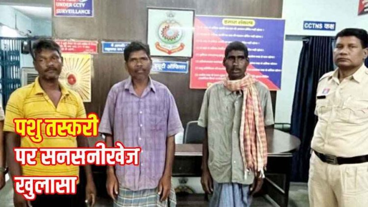 मवेशियों की तस्करी बूकर चड़खाना ले जा रहे तीन आरोपी मोहन राम, विंध्वेश्वर राम और सजन साय गिरफ्तार, आरोपियों से छह मवेशी बरामद